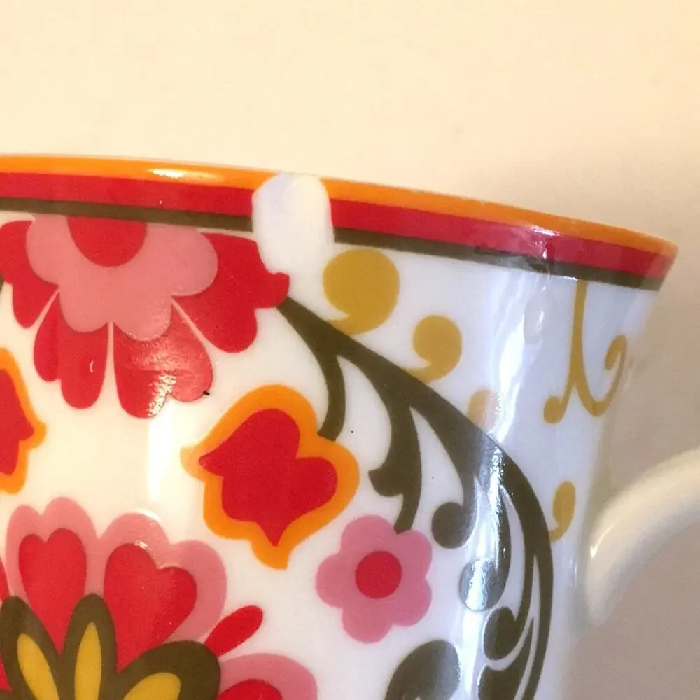 Vera Bradley coffee mug set of 2 used colorful